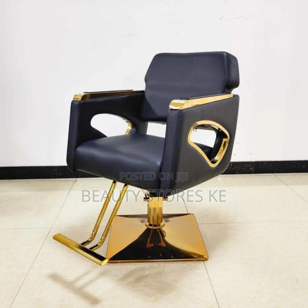 Salon Chair Black Gold Adjusting