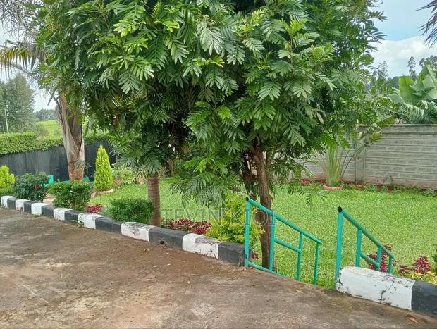 House for Sale(1/2 Acre) - thumbnail 9