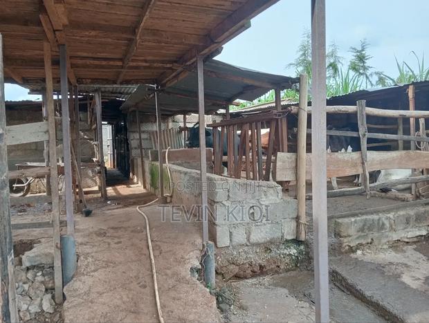 House for Sale(1/2 Acre) - thumbnail 11