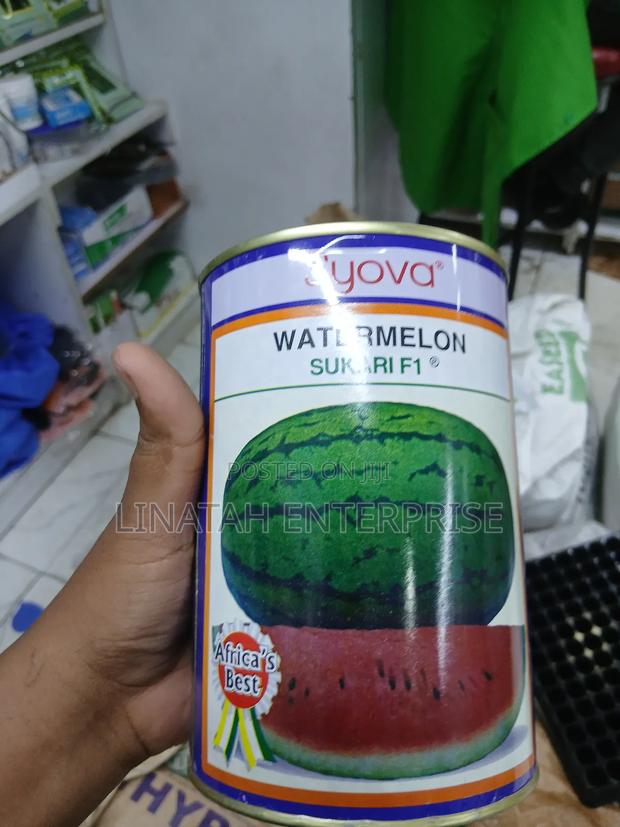 Sukari F1 500gms Watermelon - main view