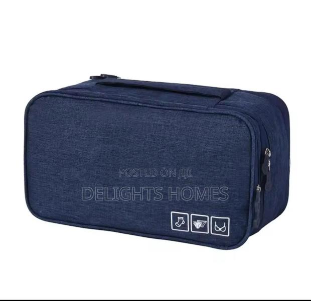 Undergarment Organizers_nje