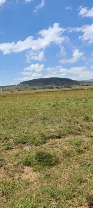 Prime 50 by 100 Plots in Naivasha, Mirera