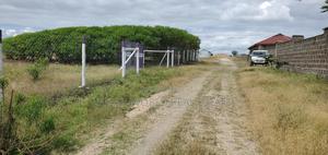 Located 500 Meters From the Highway - thumbnail 2