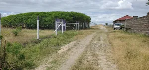 Located 500 Meters From the Highway