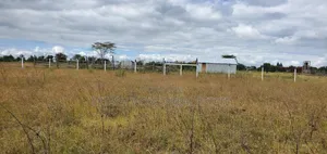 Located 500 Meters From the Highway