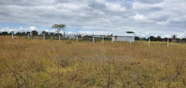 Located 500 Meters From the Highway - thumbnail 4