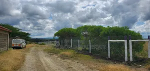 Located 500 Meters From the Highway