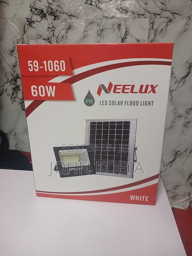 Neelux 60watts Dc Flood Light