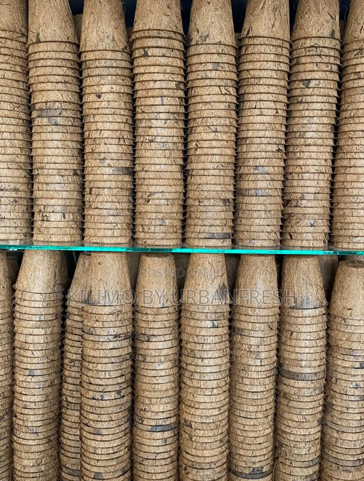Coconut Biodegradable Starter Pots. 10 Units.