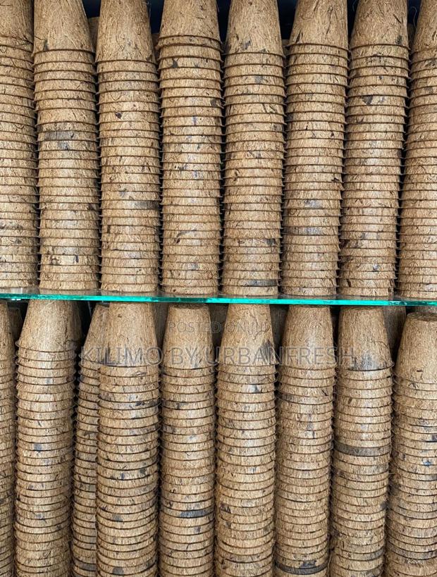 Coconut Biodegradable Starter Pots. 10 Units. - main view