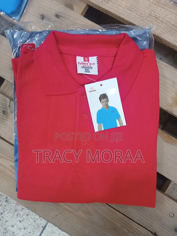 Imported Polos - thumbnail 10