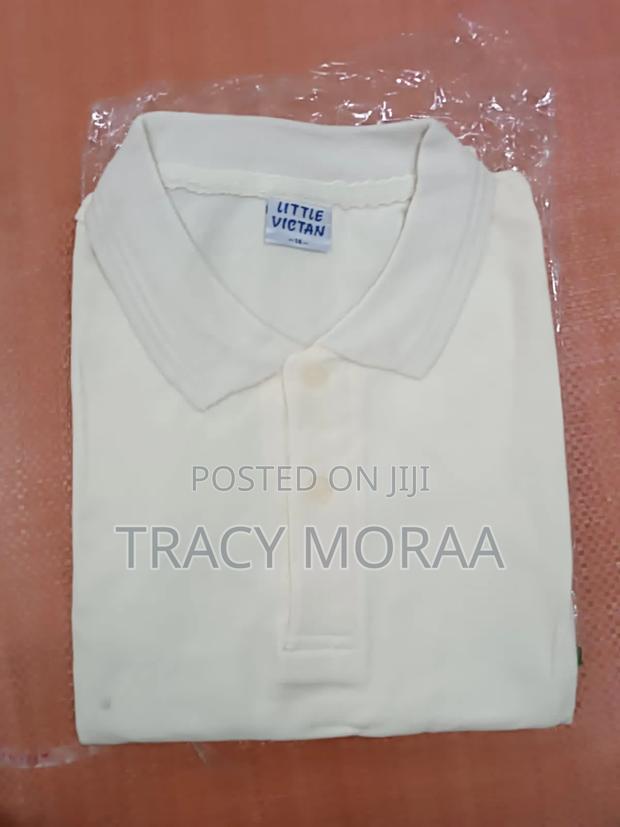 Imported Polos - thumbnail 11