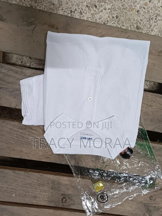 Imported Polos - thumbnail 15