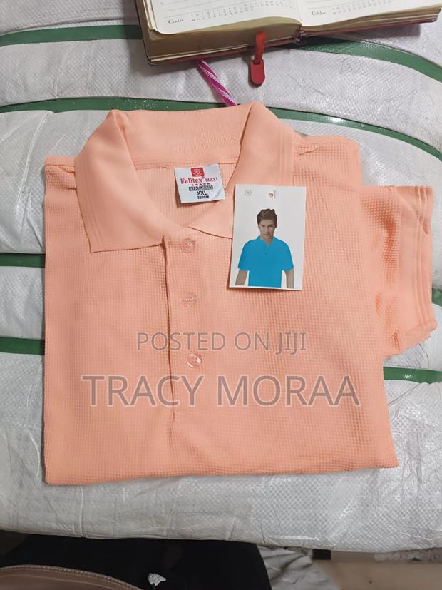 Imported Polos - thumbnail 16