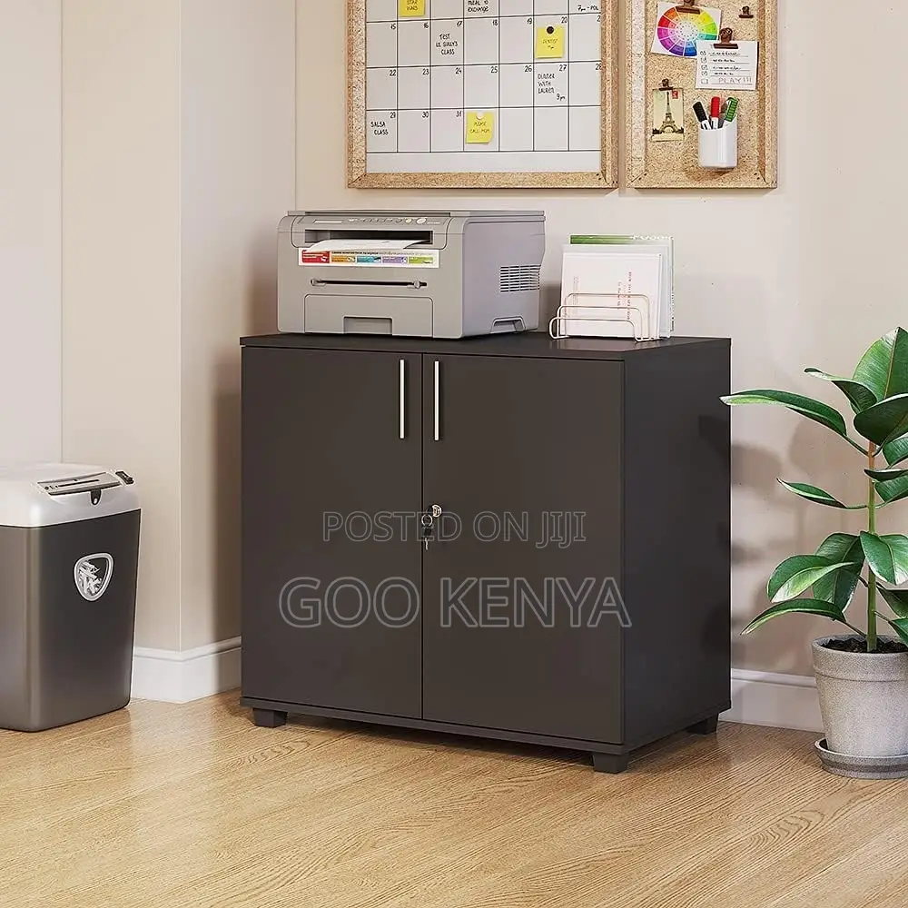 Office Cabinet ; 2-Door Executive Cupboard