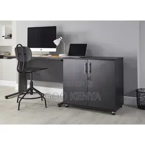 Office Cabinet ; 2-Door Executive Cupboard