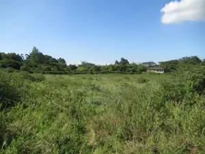 0.5-Acre Plots for Sale in a Gated Community in Karen