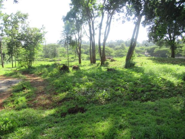 0.5-Acre Plots for Sale in a Gated Community in Karen - thumbnail 4