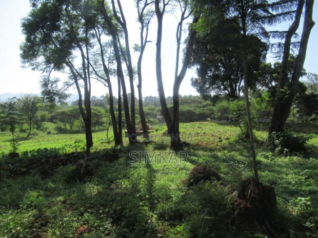 0.5-Acre Plots for Sale in a Gated Community in Karen - thumbnail 6