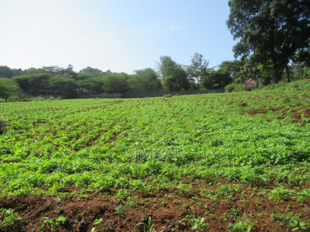 0.5-Acre Plots for Sale in a Gated Community in Karen - thumbnail 9