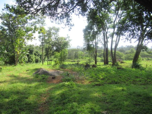 0.5-Acre Plots for Sale in a Gated Community in Karen - thumbnail 11