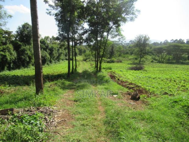 0.5-Acre Plots for Sale in a Gated Community in Karen - thumbnail 12