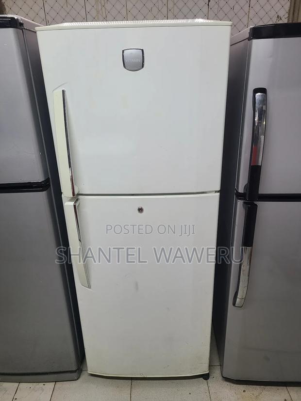 Roch Double Door Refrigerator