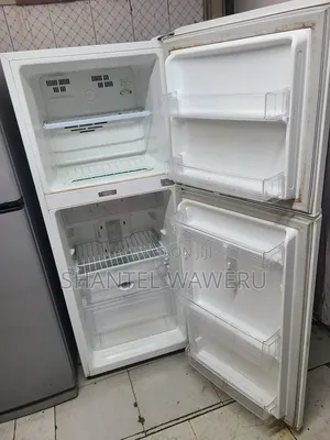 Roch Double Door Refrigerator