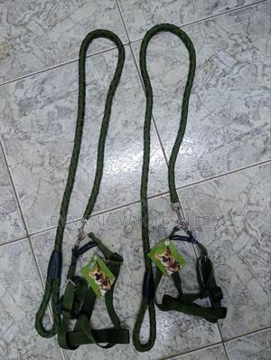 Green Dog Harness and Leash - thumbnail 2