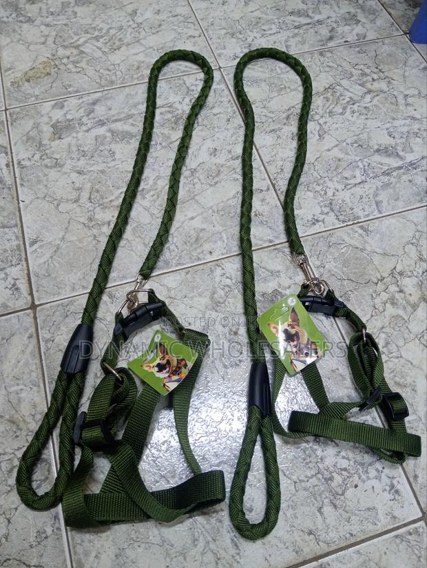 Green Dog Harness and Leash - thumbnail 3