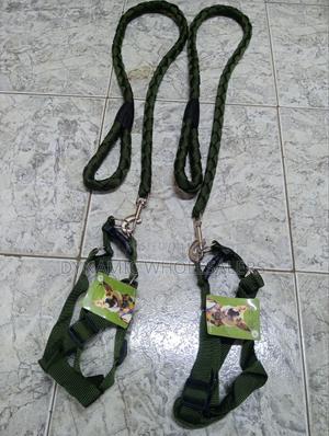 Green Dog Harness and Leash - thumbnail 2