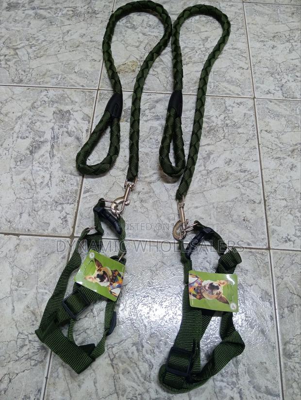 Green Dog Harness and Leash - main view