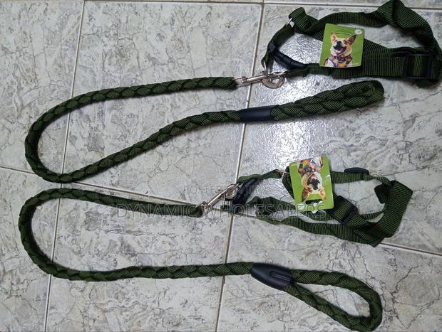 Green Dog Harness and Leash - thumbnail 3