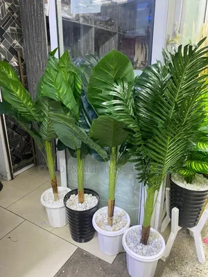 Elegant Plants 1.2m Long Affordable Price