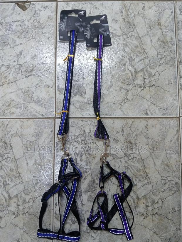 Coloured Dog Harness and Leash - main view