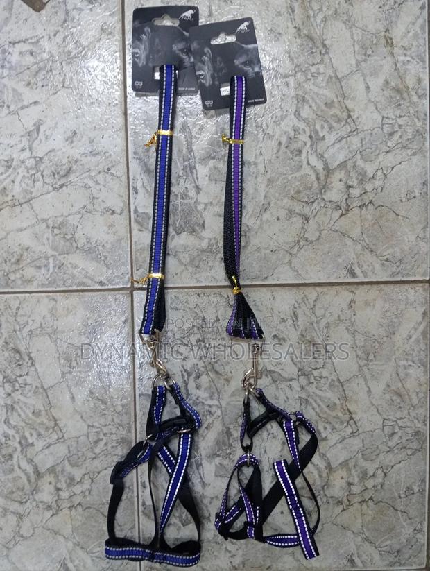 Coloured Dog Harness and Leash - thumbnail 3