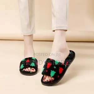 Fuzzy Indoor Shoes