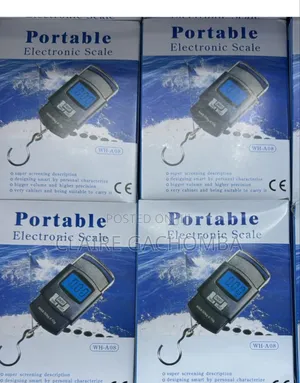 Heavy Duty Portable, Hook Type Temp, 50kg Weighing Scale