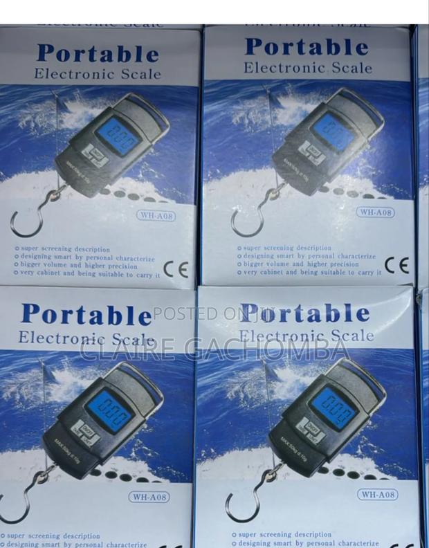 Heavy Duty Portable, Hook Type Temp, 50kg Weighing Scale - main view