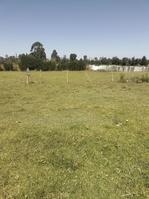 Plots Subdivided Into Quarters Located in Lifestyle Estate