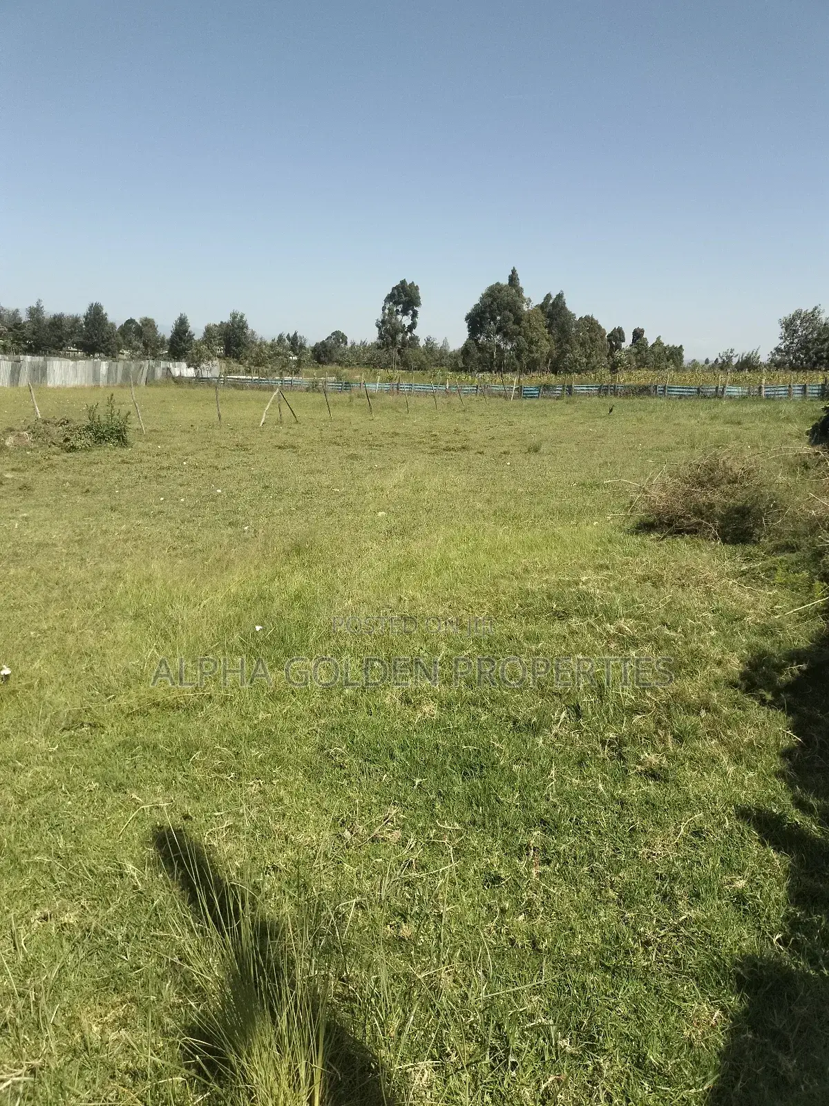 Plots Subdivided Into Quarters Located in Lifestyle Estate
