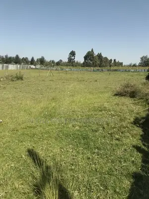 Plots Subdivided Into Quarters Located in Lifestyle Estate