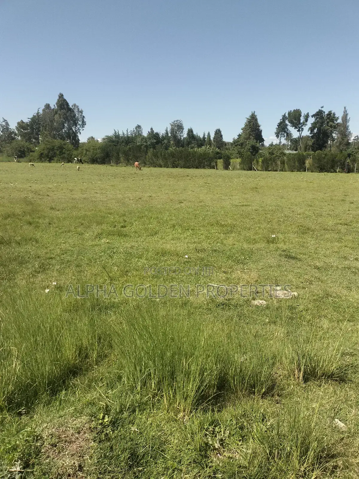 Plots Subdivided Into Quarters Located in Lifestyle Estate