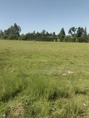 Plots Subdivided Into Quarters Located in Lifestyle Estate