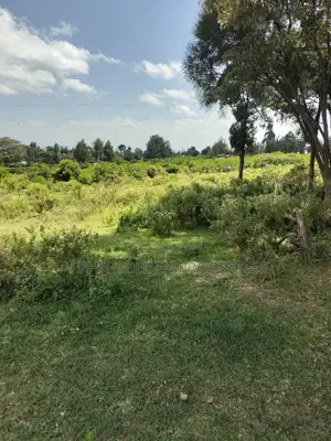 Land Subdivided Into Acres in Nanyuki Airstrip Area