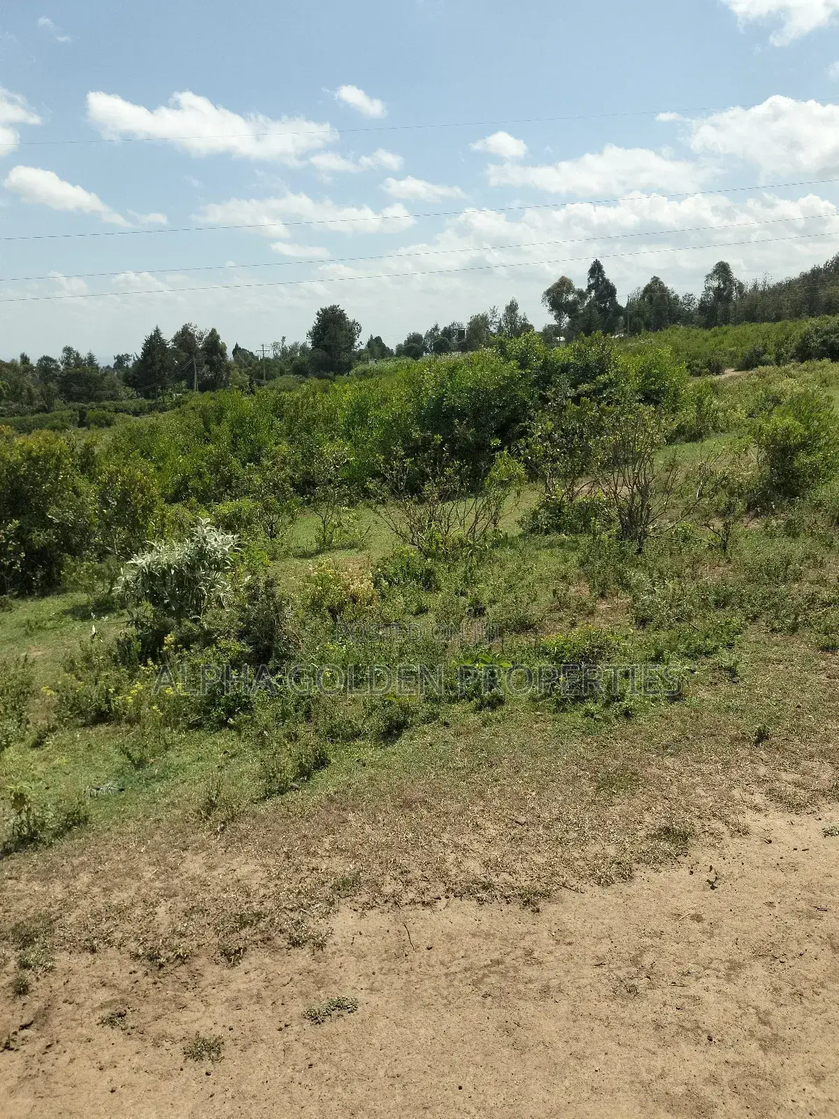 Land Subdivided Into Acres in Nanyuki Airstrip Area