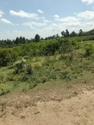 Land Subdivided Into Acres in Nanyuki Airstrip Area