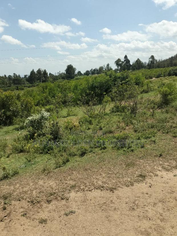 Land Subdivided Into Acres in Nanyuki Airstrip Area - thumbnail 2