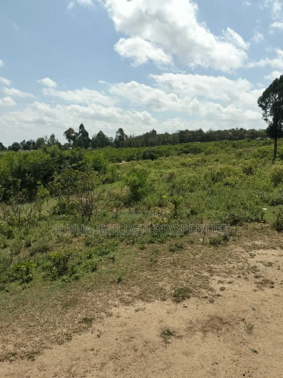 Land Subdivided Into Acres in Nanyuki Airstrip Area