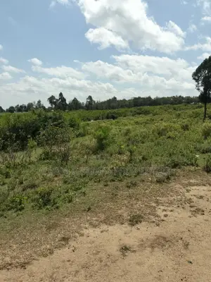 Land Subdivided Into Acres in Nanyuki Airstrip Area